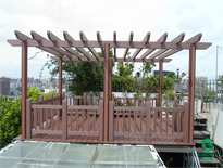 海南大廈屋頂花架